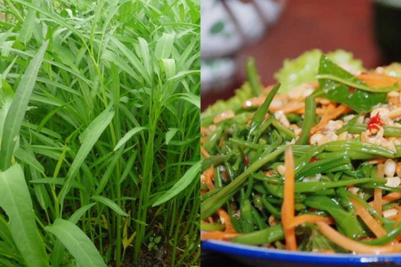 rau-muong-222-1684315166.jpg
