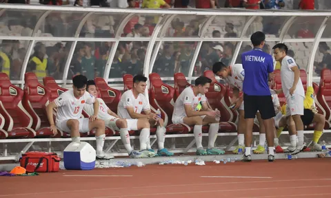 Chuyên gia: 'Cầu thủ Việt Nam không giỏi như chúng ta nghĩ'